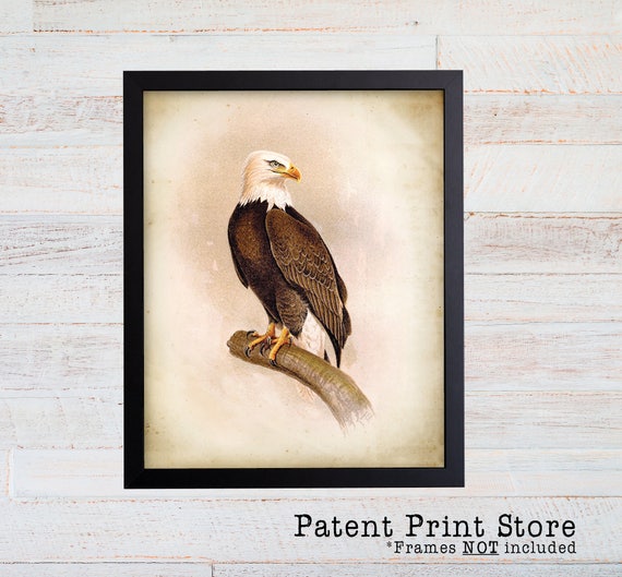 Vintage Bald Eagle Print. Bald Eagle Art.Bird Prints. Audubon Prints. Office Art. Office Decor. Law Art. Lawyer Gift. Birds. 83