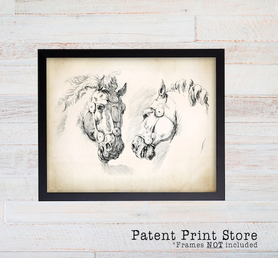 Vintage Horse Print. Horse Art. Antique Equestrian Prints. Dining Room Art. Living Room Art. Natural History Art. Horse. Horse Decor. 097
