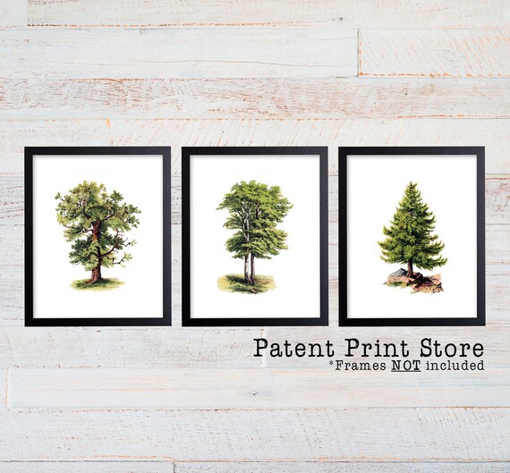 Vintage Tree Art Print Set. Tree Prints. Tree Wall Art. Green Home Decor. Vintage Botanical Art. Tree Posters. Vintage Botanical Prints. 304