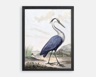 Vintage Blue Heron Print. Heron Art. Heron Wall Art. Bird Prints. Coastal Prints. Coastal Art. Bird Art. Nautical Art Print. Coastal Bird