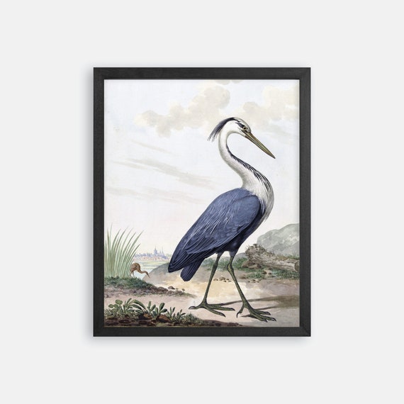 Vintage Blue Heron Print. Heron Art. Heron Wall Art. Bird Prints. Coastal Prints. Coastal Art. Bird Art. Nautical Art Print. Coastal Bird