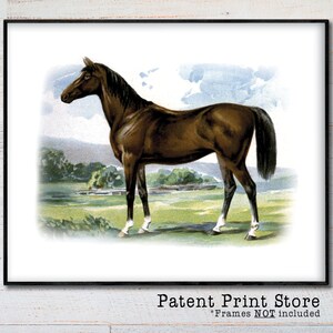 May include: A framed vintage print of a brown horse standing in a field. The horse has a dark mane and tail, with white markings on its legs. The background features a green field, trees, and a blue sky. The print is labeled "Patent Print Store".
