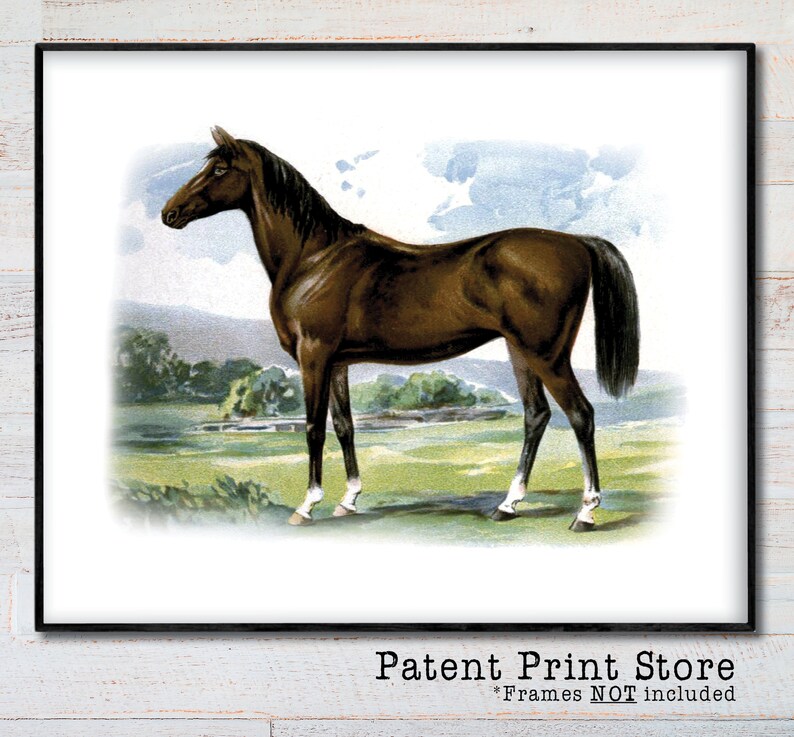 May include: A framed vintage print of a brown horse standing in a field. The horse has a dark mane and tail, with white markings on its legs. The background features a green field, trees, and a blue sky. The print is labeled "Patent Print Store".