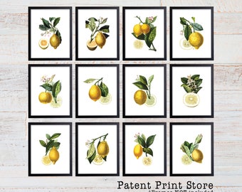 May include: A collection of twelve framed botanical prints featuring illustrations of lemons, leaves, and blossoms. Each print is in a black frame and displays a different arrangement of the fruit and foliage. The text "Patent Print Store" is at the bottom.