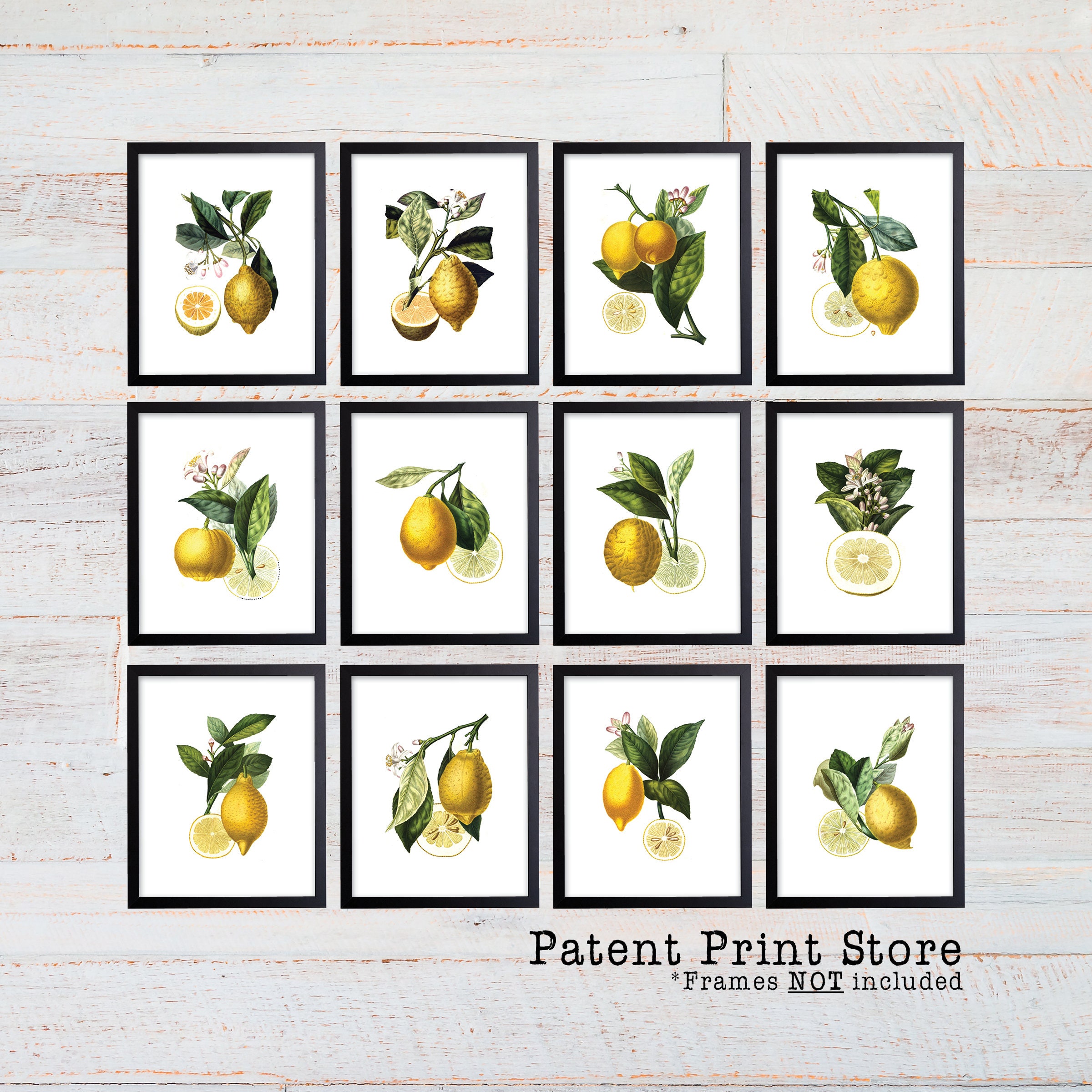 Lemon Botanical Art Prints. Lemon Prints. Flower Wall Art. Etsy