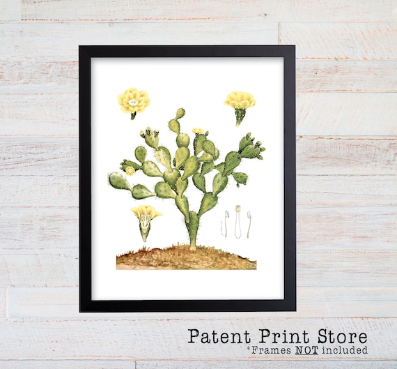 Cactus Print, Cactus Wall Art Decor, Succulent Print, Cactus Poster, Cactus Art, Cactus Decor. Desert Art. Desert Print. Desert Decor. 081