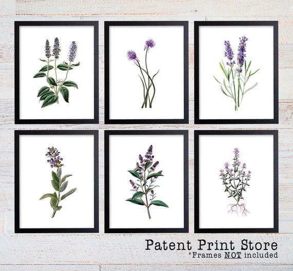 Purple Herb Botanical Art Prints. Herb Prints. Herb Wall Art. Botanical Print. Kitchen Prints. Dining. Botanical Wall Art. Farmhouse Decor.