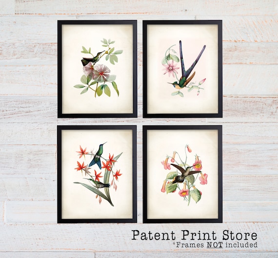 Hummingbird Print Set, Hummingbird Art, Botanical Art, Botanical Prints, Wall Art, Bird Prints, Botanical Wall Art. Hummingbird Poster. 248