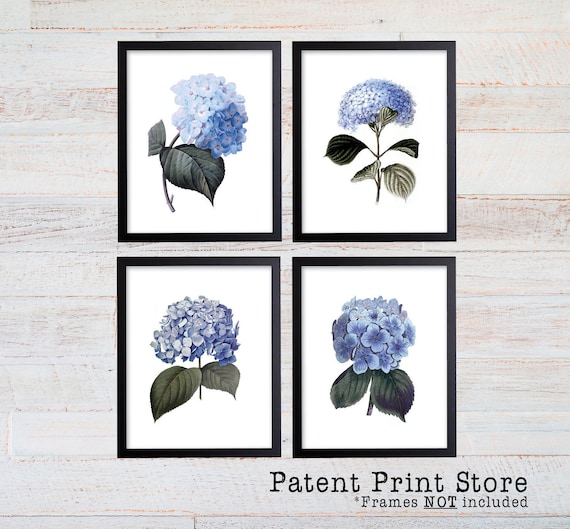 Blue Hydrangea Art. Blue Hydrangea Prints. Blue Botanical Prints. Flower Prints. Botanical Print. Dining. Botanical Wall Art. Farmhouse.