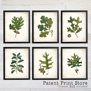 Oak Leaf Botanical Art Prints. Leaf Print. Leaf Art. Botanical Print. Kitchen Art Prints. Dining. Botanical Wall Art. Farmhouse Decor. 128