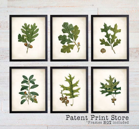 Oak Leaf Botanical Art Prints. Leaf Print. Leaf Art. Botanical Print. Kitchen Art Prints. Dining. Botanical Wall Art. Farmhouse Decor. 128