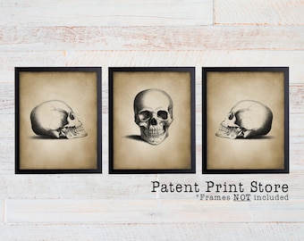 Antique Skull Anatomy Print Set, Vintage Science Art
