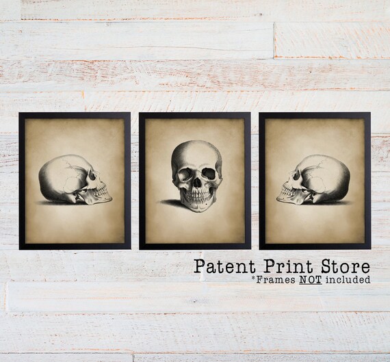 Antique Skull Print Set. Skull Art. Skull Decor. Vintage Anatomy Art. Anatomy Print. Anatomy Poster. Science Art. Science Gift. Anatomy Gift