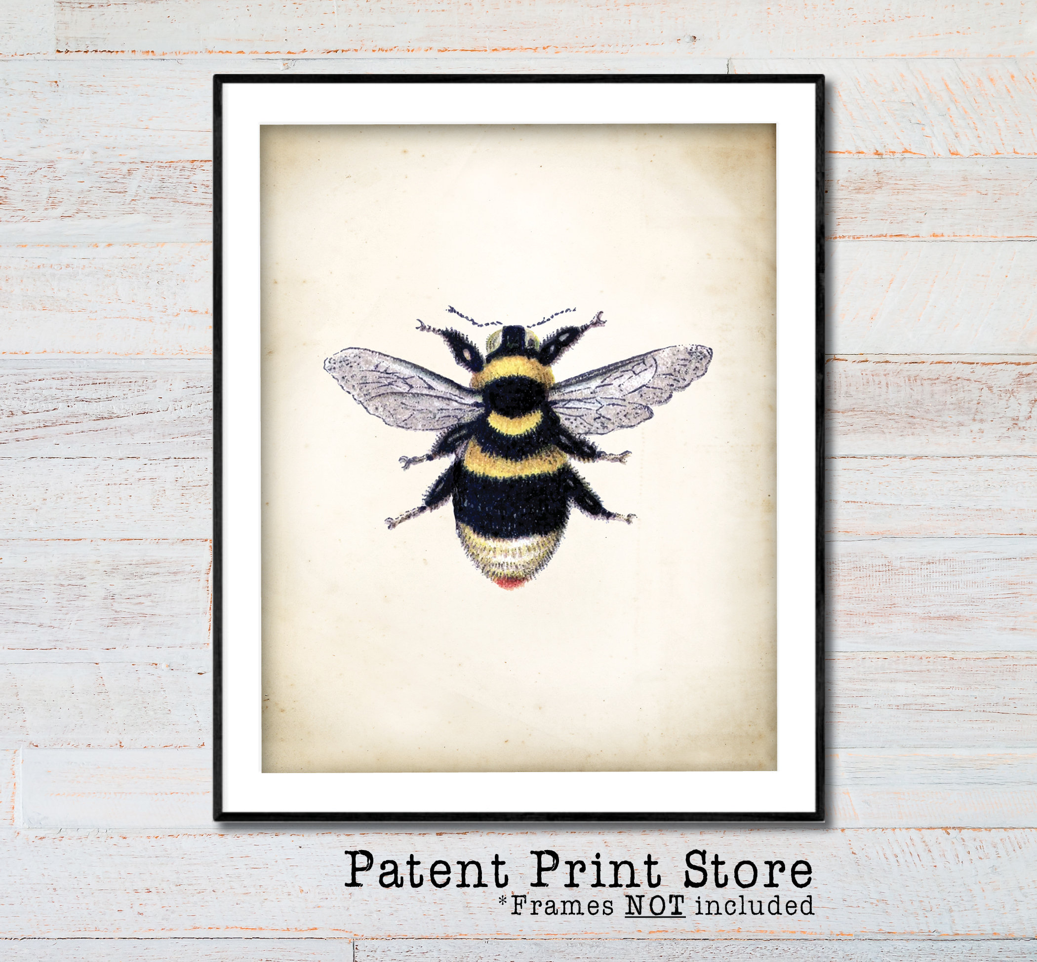 Vintage Bumble Bee Art Print. Farmhouse Decor. Farmhouse Wall