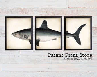 May include: Set of three black framed prints featuring vintage illustrations of sharks. The prints are on a white wood background. The text "Patent Print Store" and "*Frames NOT included" is below the prints.