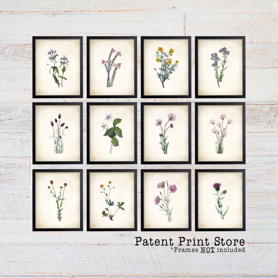 Vintage Watercolor Wildflower Prints. Botanical Prints. Wildflower Art. Vintage Botanical Wall Art. Wildflower Decor. Farmhouse Art Prints.