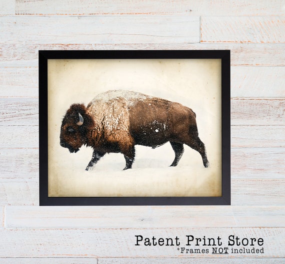 Buffalo Print. Bison Print.  Buffalo Wall Art. Buffalo Photography. Animal Wall Art. Bison Poster. Buffalo Decor. Farmhouse Art Print. 116