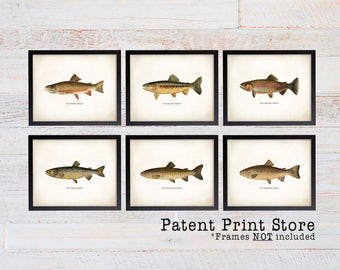 Vintage Trout Print Set. Fish Art. Fish Print. Fathers Day Gift. Gift for Men. Wall Art. Fish Print. Trout. Fly Fishing Art. Angler Art. 147