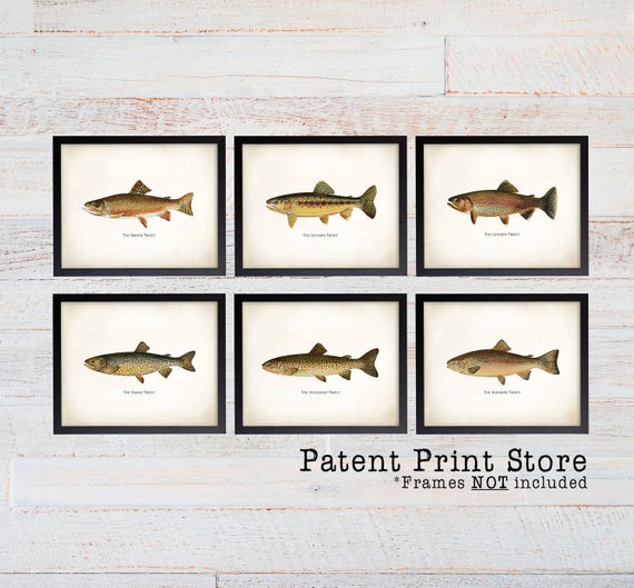 Vintage Trout Print Set. Fish Art. Fish Print. Fathers Day Gift. Gift for Men. Wall Art. Fish Print. Trout. Fly Fishing Art. Angler Art. 147