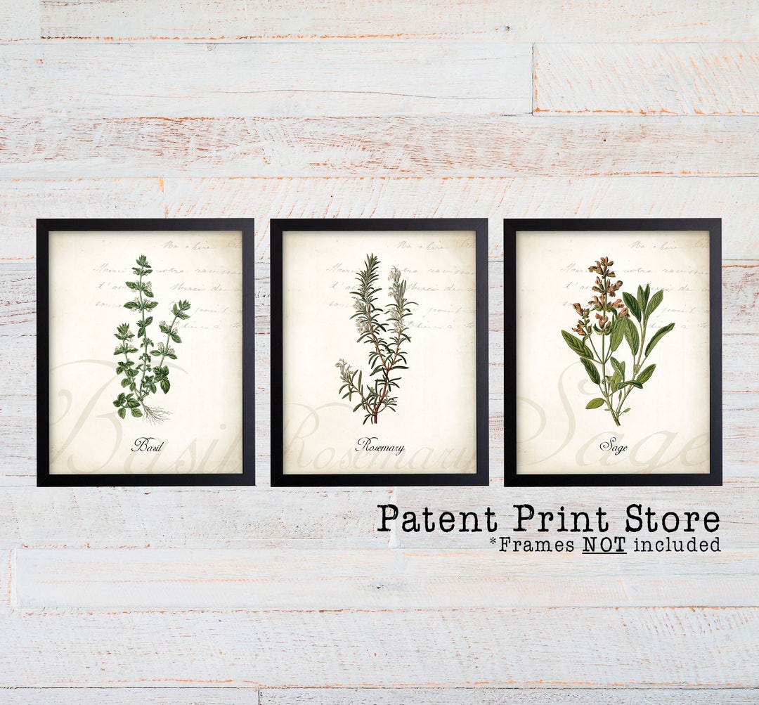Herb Botanical Art Prints. Herb Prints. Herb Wall Art. Botanical Print ...