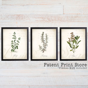 Herb Botanical Art Prints. Herb Prints. Herb Wall Art. Botanical Print. Kitchen Art Prints. Dining. Botanical Wall Art. Farmhouse Decor. 286