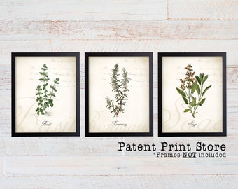 May include: Three framed botanical prints of herbs, each with a white background and black frame. The prints feature illustrations of basil, rosemary, and sage with their names printed below each image.
