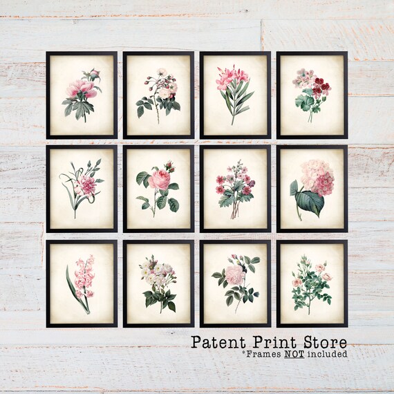 Redoute Botanical Print Set. Redoute Rose Art Print. Redoute Peony. Vintage Botanical Art. Botanical Print. Farmhouse. Pink Flower Art. 252