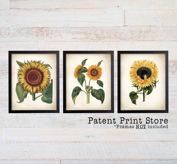 Sunflower Art. Sunflower Prints. Sunflower Decor. Flower Prints. Botanical Art. Botanical Print. Dining. Botanical Wall Art. Farmhouse. 212