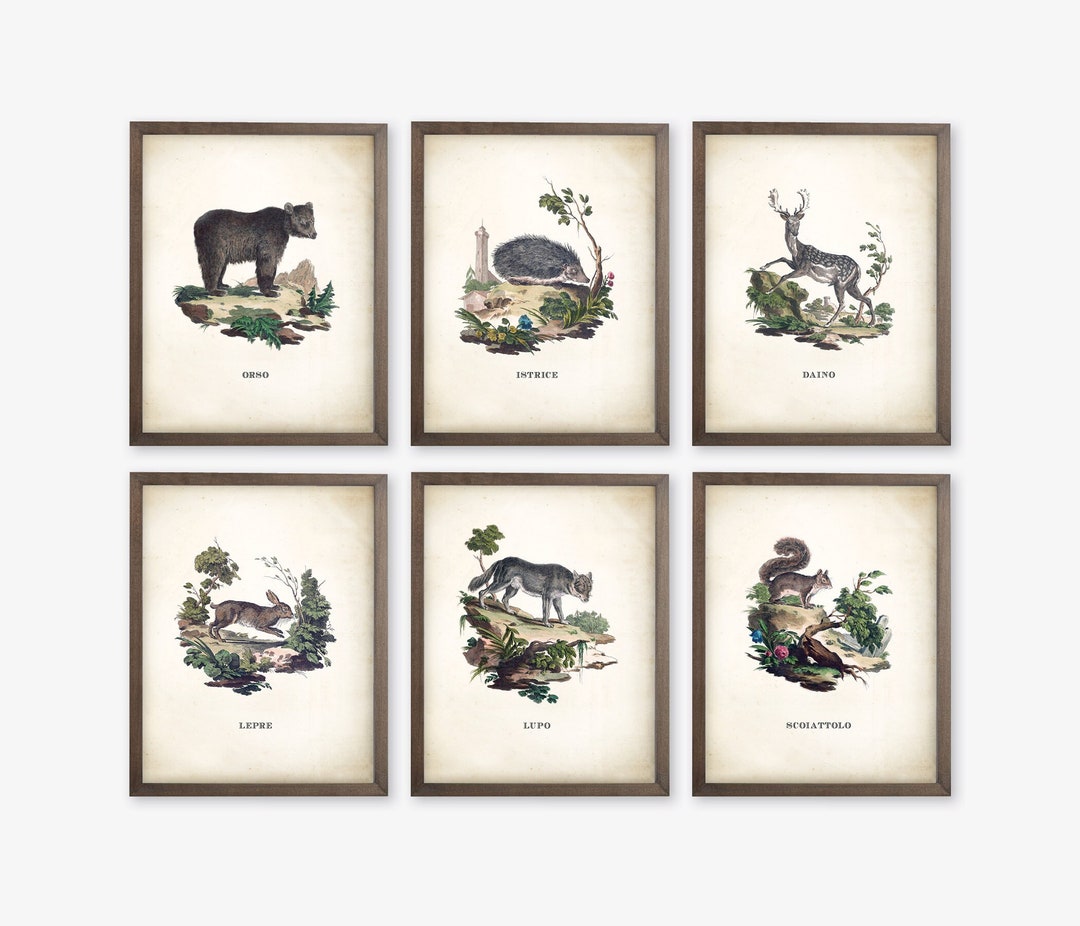 Woodland Nursery Decor. Vintage Nursery Decor. Woodland Animal Prints. Woodland Nursery Prints