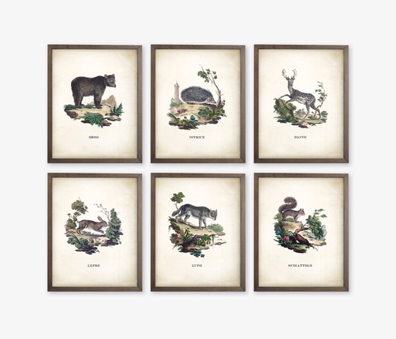 Vintage nursery cheap wall art