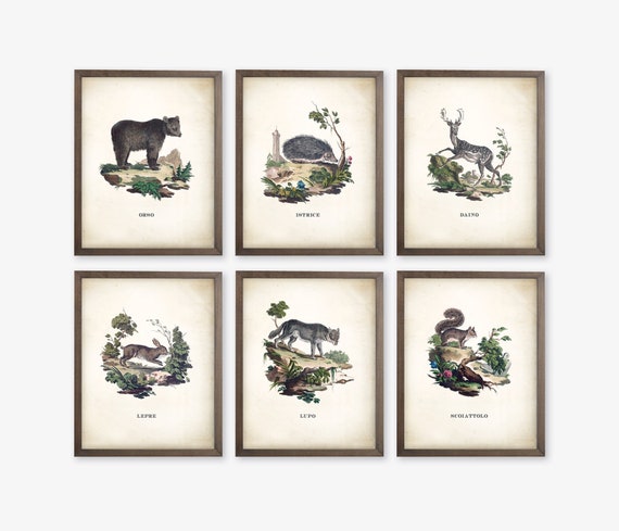 Woodland Nursery Decor. Vintage Nursery Decor. Woodland Animal Prints. Woodland Nursery Prints. Vintage Nursery Art Prints. Forest Nursery.