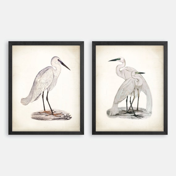 Coastal Heron Print Set. Bird Prints. Heron Art Prints. Coastal Art, Beach House Wall Art. Coastal Decor. Beach Cottage Art. Nautical Art