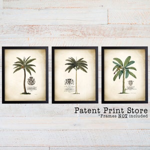 Georg Dionysius Egret Palm Tree Art Prints. Farmhouse Decor. Palm Print. Palm Tree Print.Farmhouse Art. Botanical Print. Botanical Art. 216