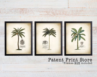 Georg Dionysius Egret Palm Tree Art Prints. Farmhouse Decor. Palm Print. Palm Tree Print.Farmhouse Art. Botanical Print. Botanical Art. 216