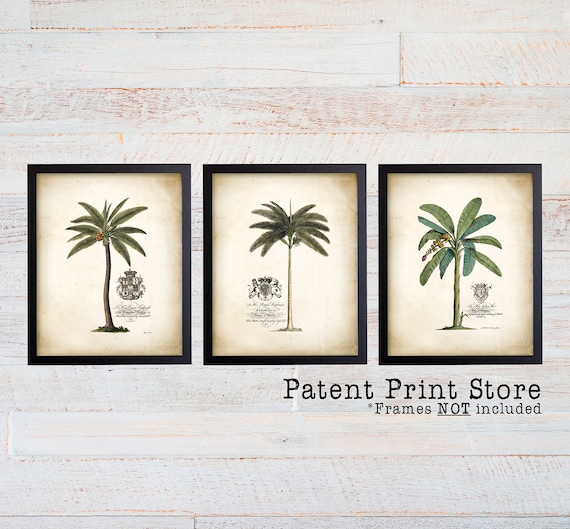 Georg Dionysius Egret Palm Tree Art Prints. Farmhouse Decor. Palm Print. Palm Tree Print.Farmhouse Art. Botanical Print. Botanical Art. 216