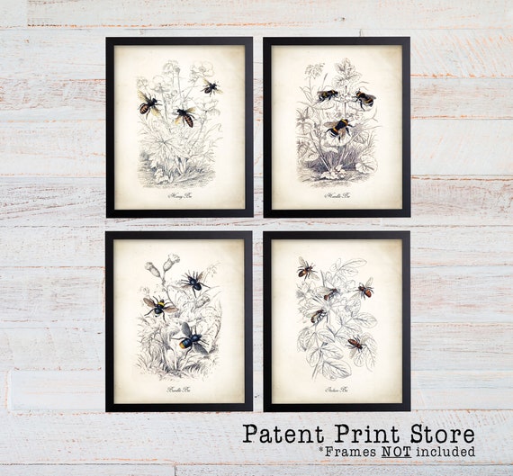 Bee Prints. Honey Bee Art. Farmhouse Wall Decor. Bumble Bee Print. Honey Bee Print, Farmhouse Decor. Bee Art. Beekeeping Prints. Bee Decor.