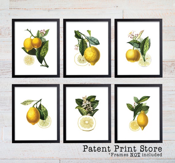 Lemon Botanical Art Prints. Lemon Prints. Flower Wall Art. Botanical Print. Kitchen Art Prints. Dining. Botanical Wall Art. Farmhouse. 223