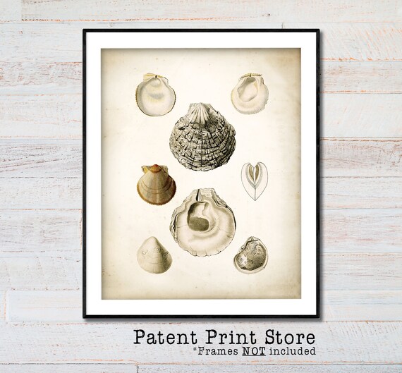 Beach Themed Furniture Moshidin Co