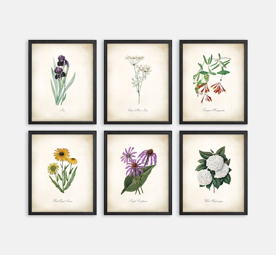 Tennessee Wildflower Botanical Art Prints. Botanical Print. Wildflower Print. Poster. Botanical Illustration. Botanical Art. Farmhouse Decor