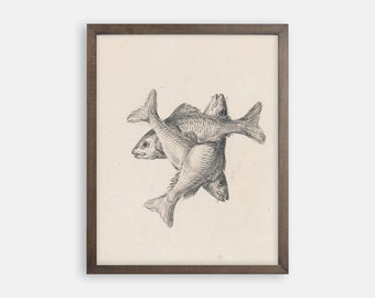 Three Fish Sketch Print. Fish Art. Fish Wall Art. Fish Prints. Lake house Prints. Lake House Art. Sketch Art. Vintage Sketch Art. Fish Gift