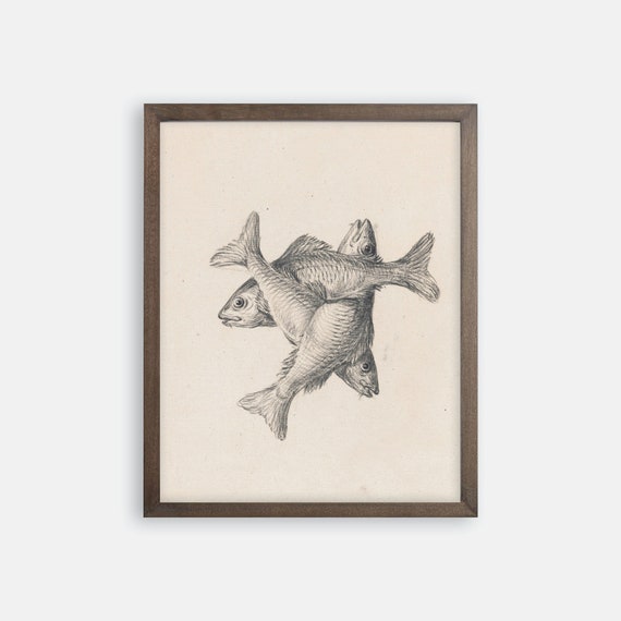 Three Fish Sketch Print. Fish Art. Fish Wall Art. Fish Prints. Lake house Prints. Lake House Art. Sketch Art. Vintage Sketch Art. Fish Gift