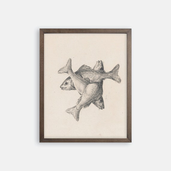 Three Fish Sketch Print. Fish Art. Fish Wall Art. Fish Prints. Lake house Prints. Lake House Art. Sketch Art. Vintage Sketch Art. Fish Gift