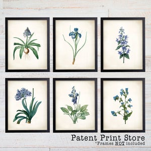 Blue Botanical Art Prints. Blue Flower Prints. Flower Wall Art. Botanical Print. Kitchen Art Prints. Dining. Botanical Art. Farmhouse. 170
