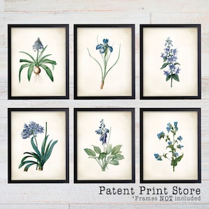 May include: Set of six botanical prints featuring blue flowers with green leaves. The prints are framed in black frames and have a white background. The text "Patent Print Store" and "*Frames NOT included" is at the bottom of the image.