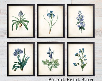 Blue Flower Botanical Art Prints, Set of 6, Farmhouse Decor
