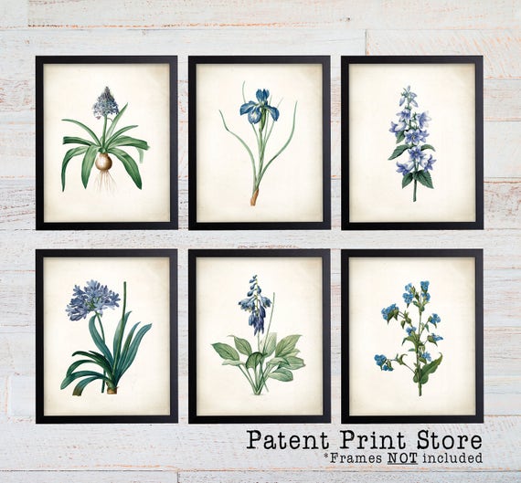 Blue Botanical Art Prints. Blue Flower Prints. Flower Wall Art. Botanical Print. Kitchen Art Prints. Dining. Botanical Art. Farmhouse. 170