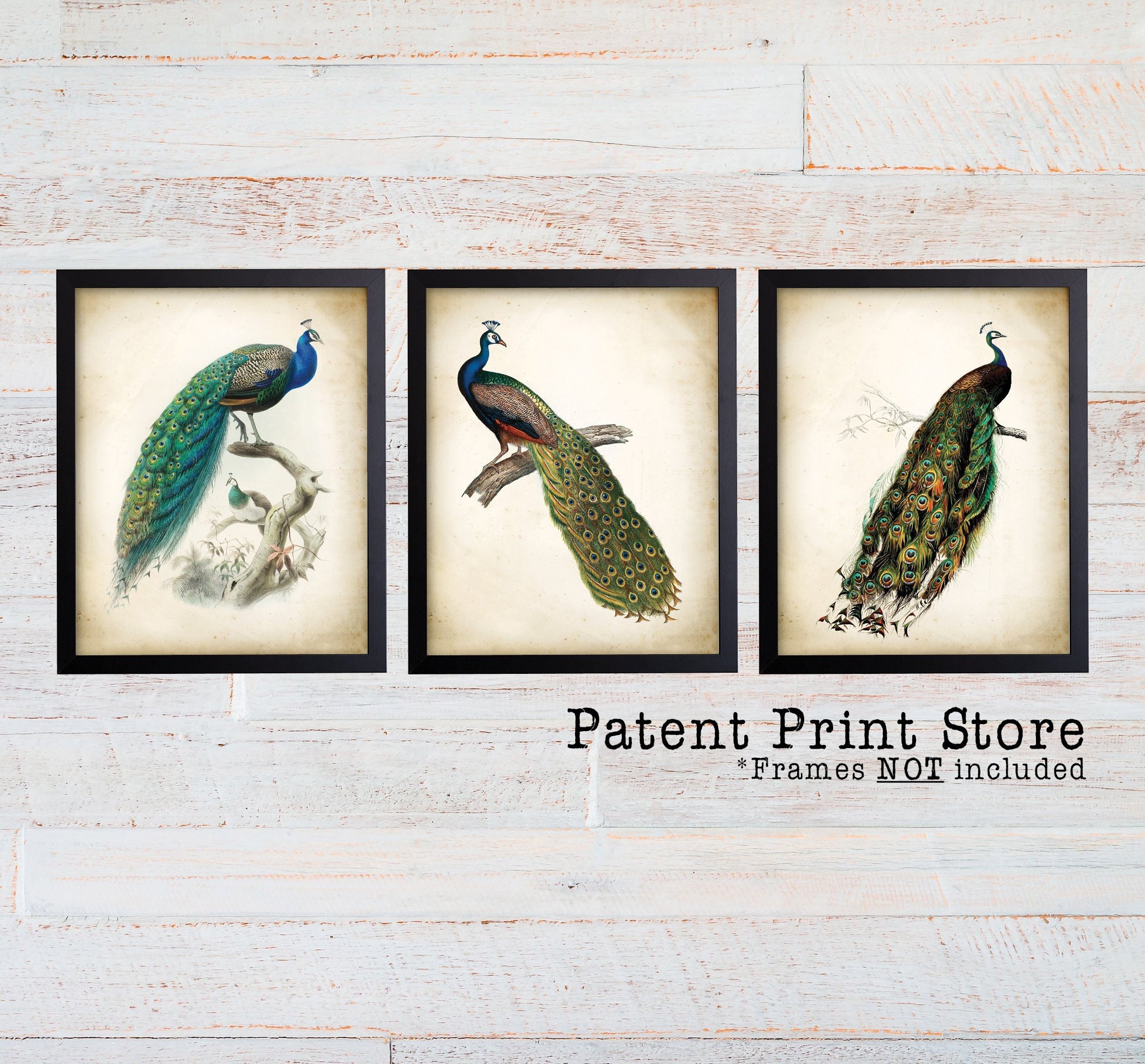 Set of 3 ART PRINTS ON ANTIQUE BOOK PAGES Wall Decor Special Peacock  Collection