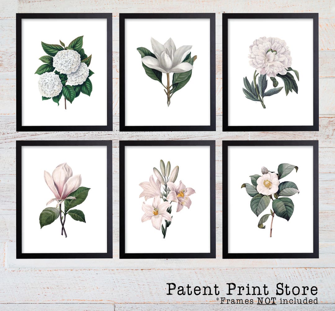 White Flower Botanical Art Prints, Set of 6, Farmhouse Decor - Etsy