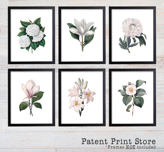 White Botanical Art Prints. White Flower Prints. Flower Wall Art. Botanical Print. Kitchen Art Prints. Dining. Botanical Art. Farmhouse. 288