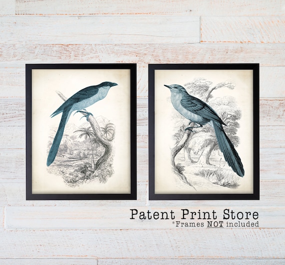 Farmhouse Birds Print Set. Antique Bird Prints Farmhouse | Etsy